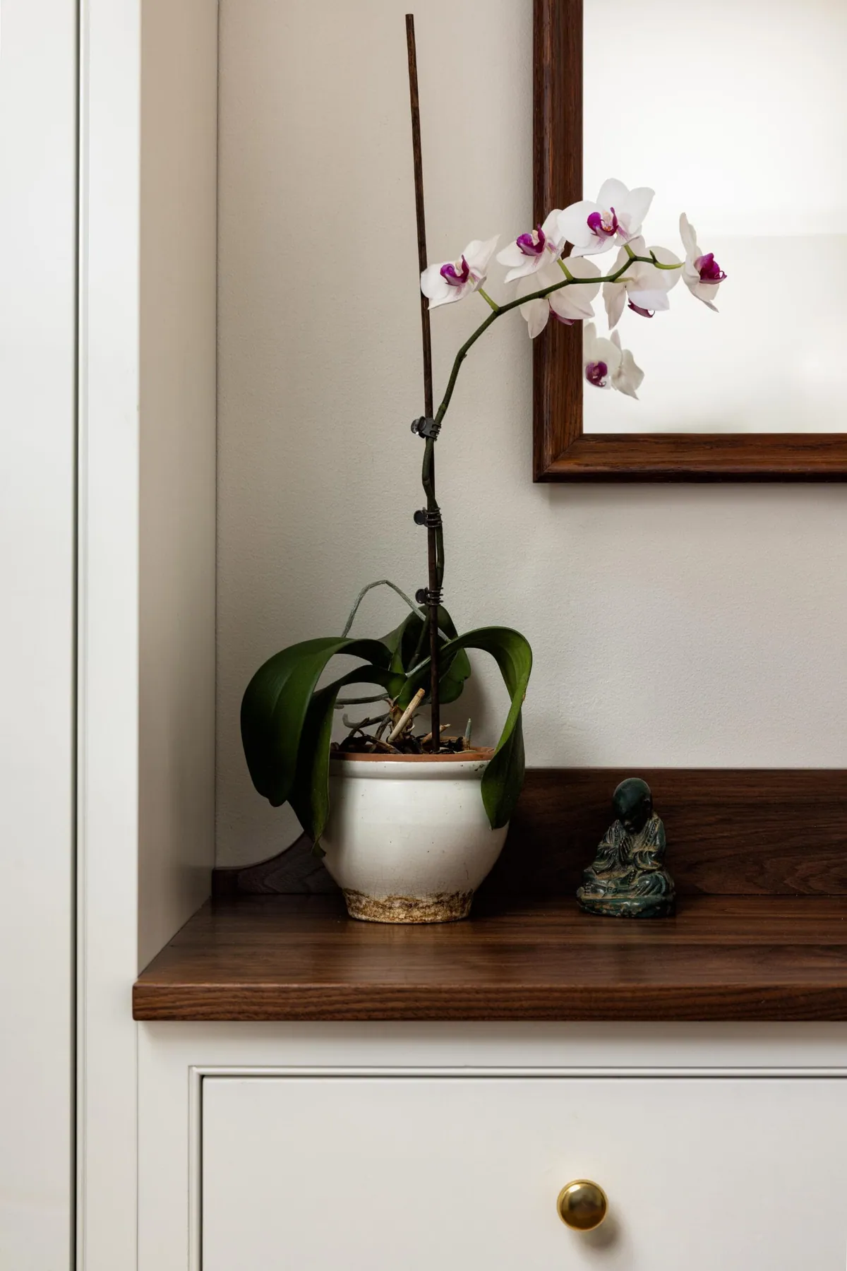 White orchid on a walnut counter beneath a framed mirror