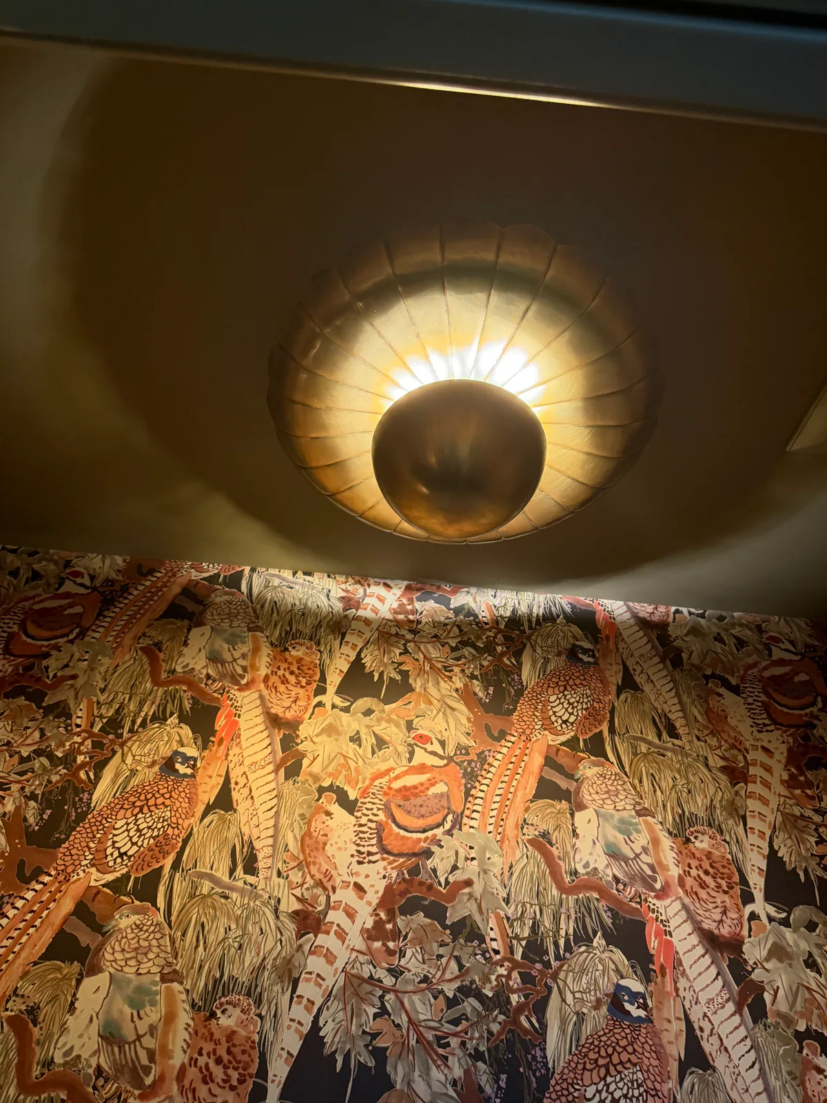 Scalloped ceiling light glowing above a powder room papered in a bird mural
