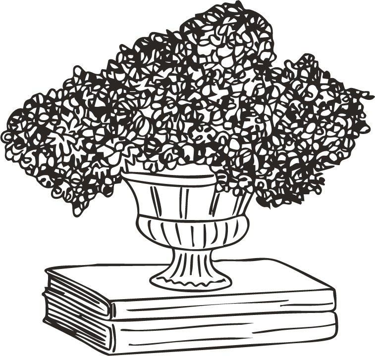 Services Illustration@300x